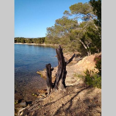 Face Mer Entre Plage Et Marina Bormes-les-Mimosas Luaran gambar