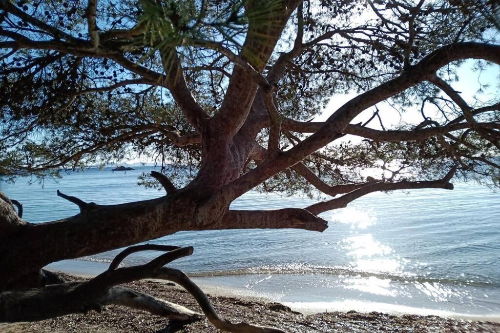 Face Mer Entre Plage Et Marina Bormes-les-Mimosas Luaran gambar