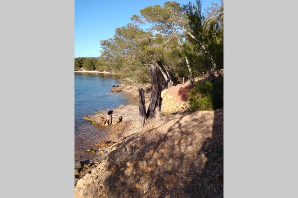 Face Mer Entre Plage Et Marina Bormes-les-Mimosas Luaran gambar